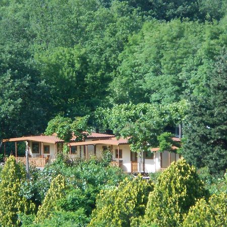 Campeggio Pian Dei Boschi Pietra Ligure Zewnętrze zdjęcie